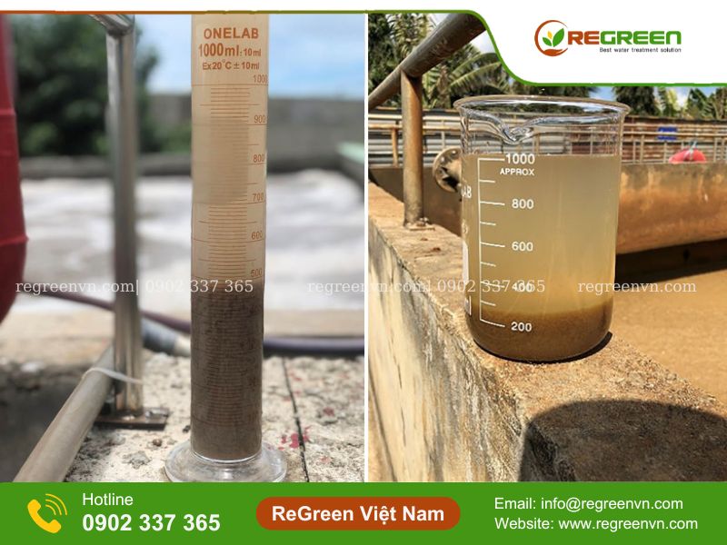 Vi sinh xử lý nước thải