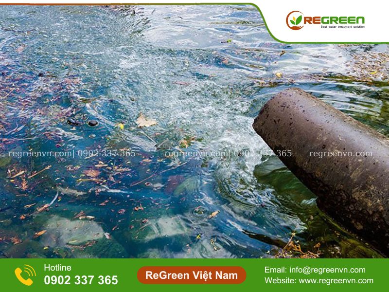 Xử lý độ màu trong nước thải