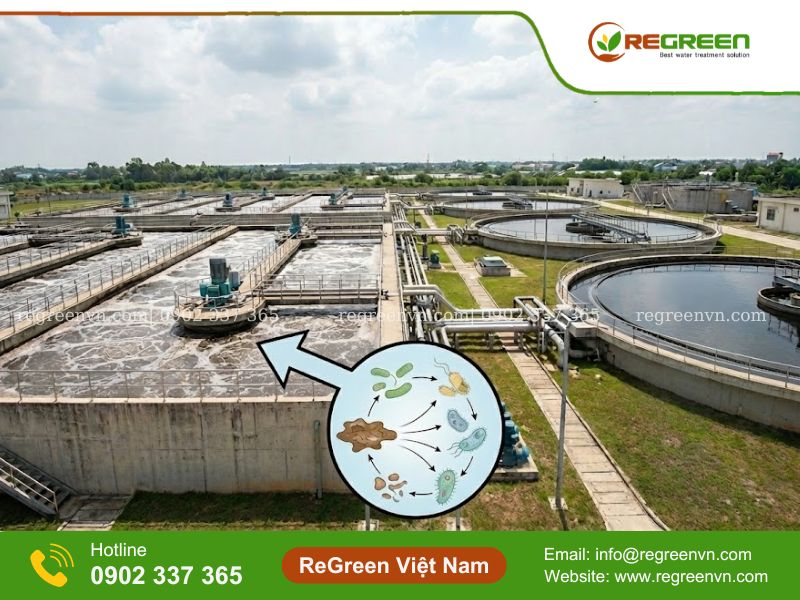 công nghệ xử lý nước thải bằng vi sinh vật
