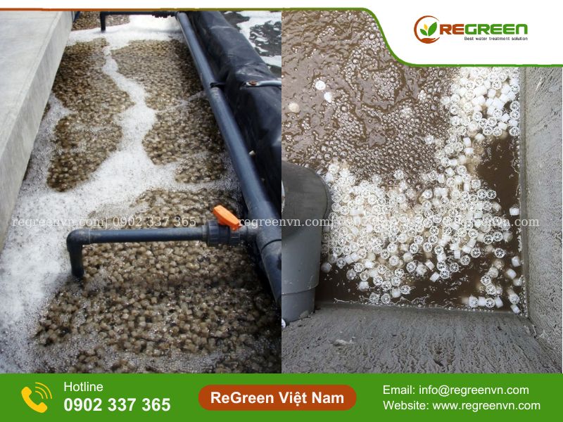 Xử lý nước thải mbr