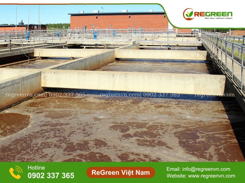 Đệm vi sinh dạng cầu giá rẻ