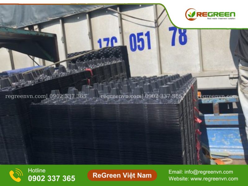 Đệm vi sinh tổ ong giá rẻ