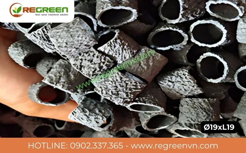 Giá thể vi sinh MBBR RG-MBBR19 bề mặt nhám