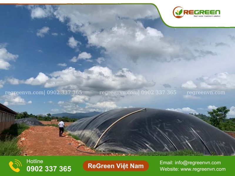 Cách thiết kế hầm biogas trong chăn nuôi