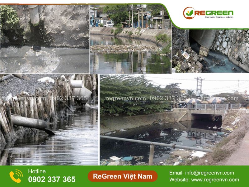 Hình ảnh thực tế nguồn nước thải sinh hoạt chưa qua xử lý