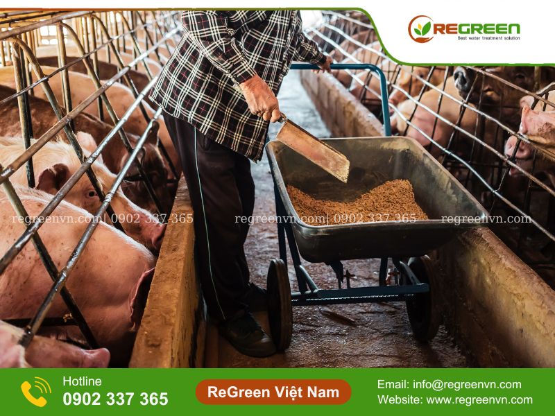xử lý nước thải chăn nuôi