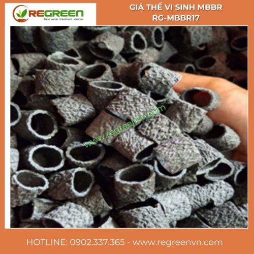 Giá thể vi sinh MBBR nhám Model RG-MBBR17 chính hãng