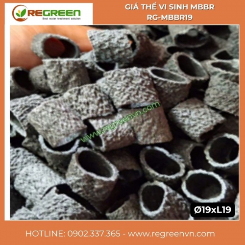 Giá thể vi sinh MBBR RG-MBBR19 bề mặt nhám